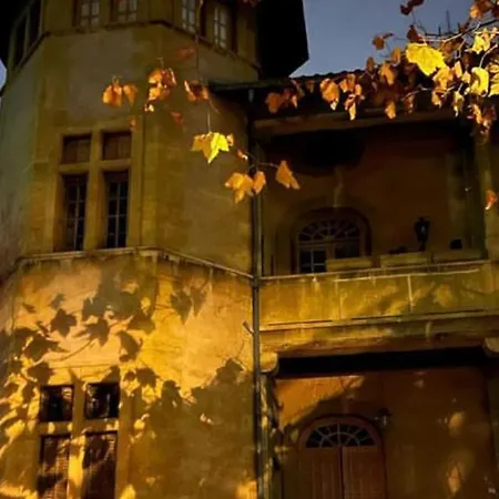 ベッド・アンド・ブレックファスト Nuit Au Chateau リヨン